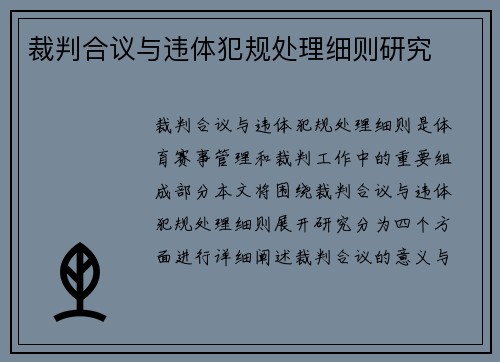 裁判合议与违体犯规处理细则研究